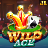 Wild Ace Slot on EEJL Login